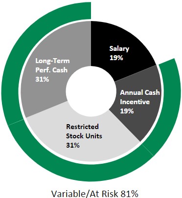 CEO Pie Chart 2023.jpg